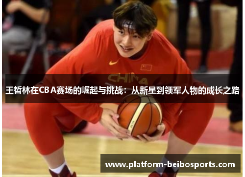 王哲林在CBA赛场的崛起与挑战：从新星到领军人物的成长之路