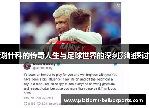 谢什科的传奇人生与足球世界的深刻影响探讨
