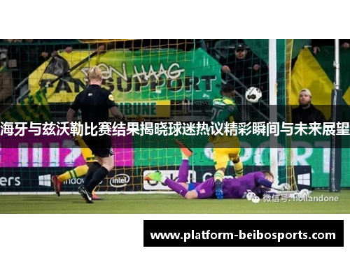 海牙与兹沃勒比赛结果揭晓球迷热议精彩瞬间与未来展望